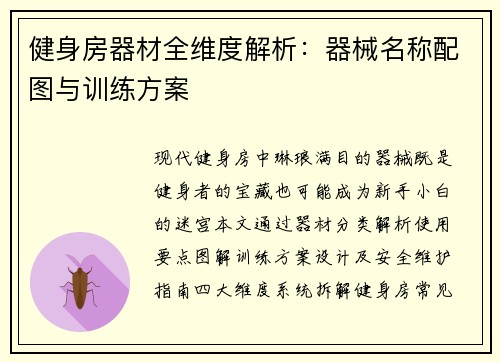 健身房器材全维度解析：器械名称配图与训练方案